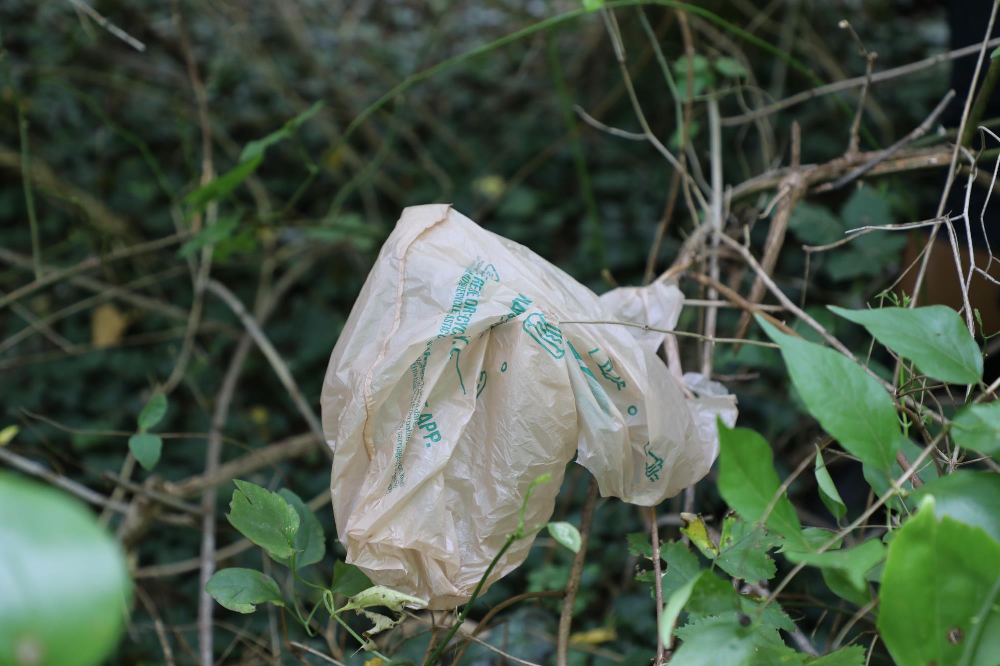 Littered Plastic Bag