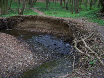 Eroded Bank 2