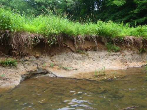 Eroded Bank 3 