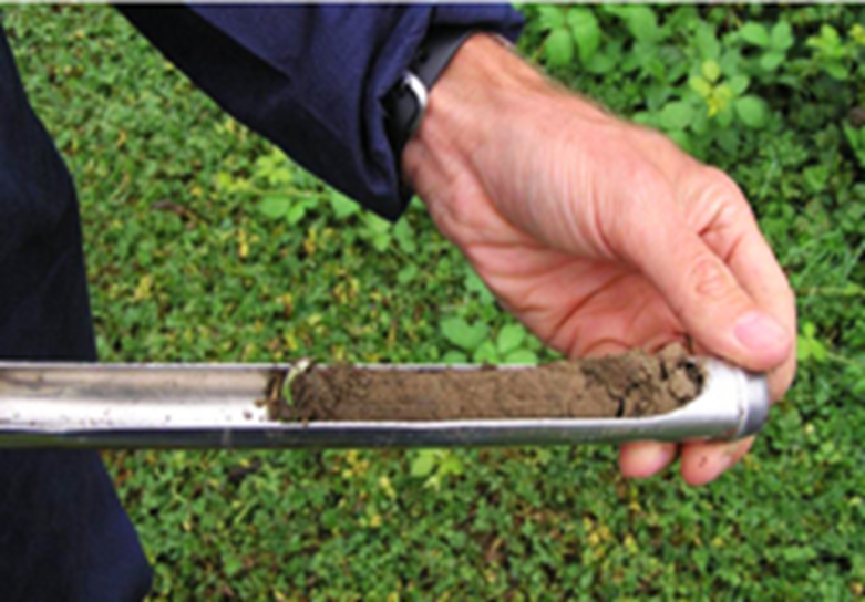 Soil Sample 1