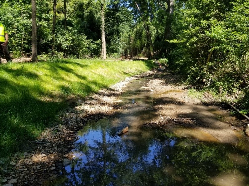 Stabilized Streambank 1