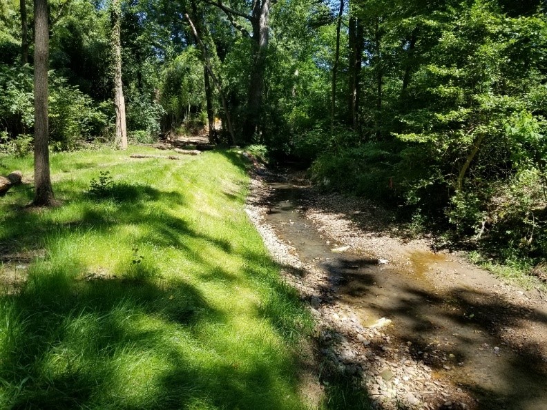 Stabilized Streambank 2