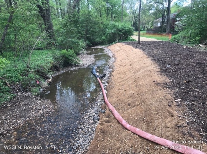 Streambank 2