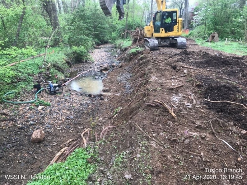 Tusico Tree Removal 1